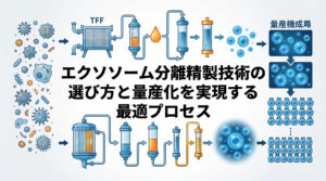 エクソソーム分離精製技術の選び方と量産化を実現する最適プロセス