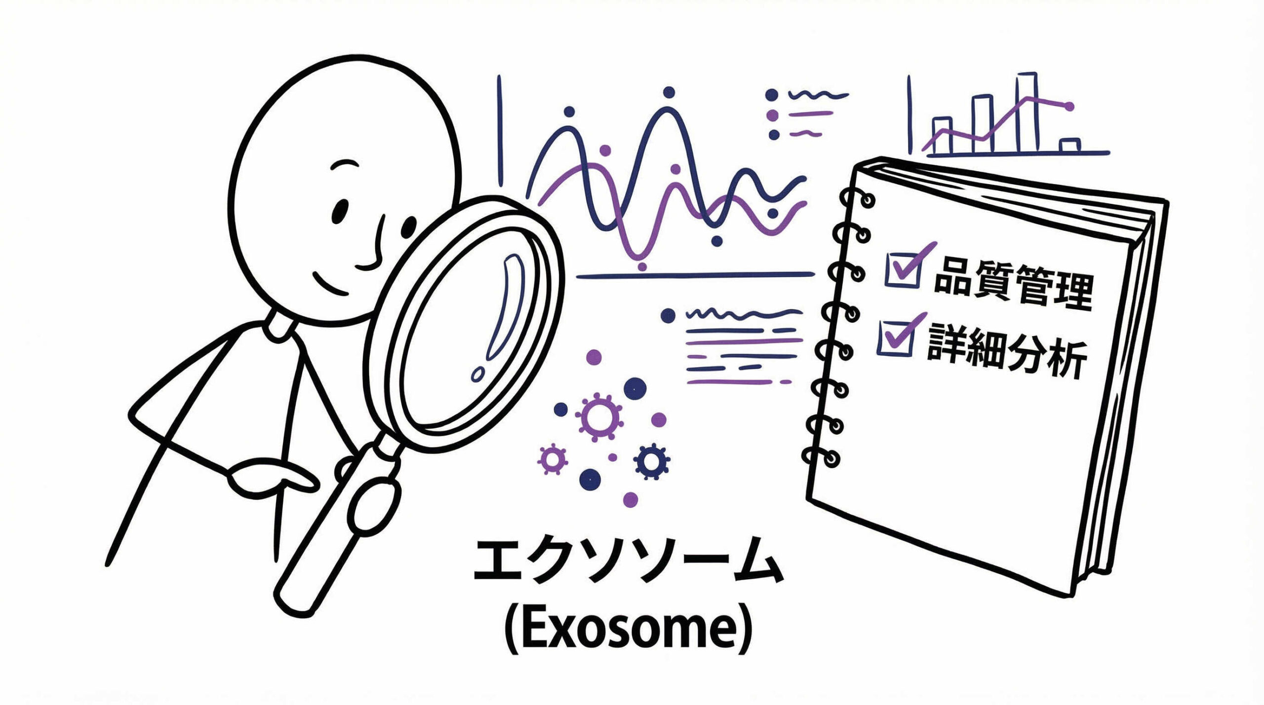 精製後のエクソソーム品質評価と分析手法