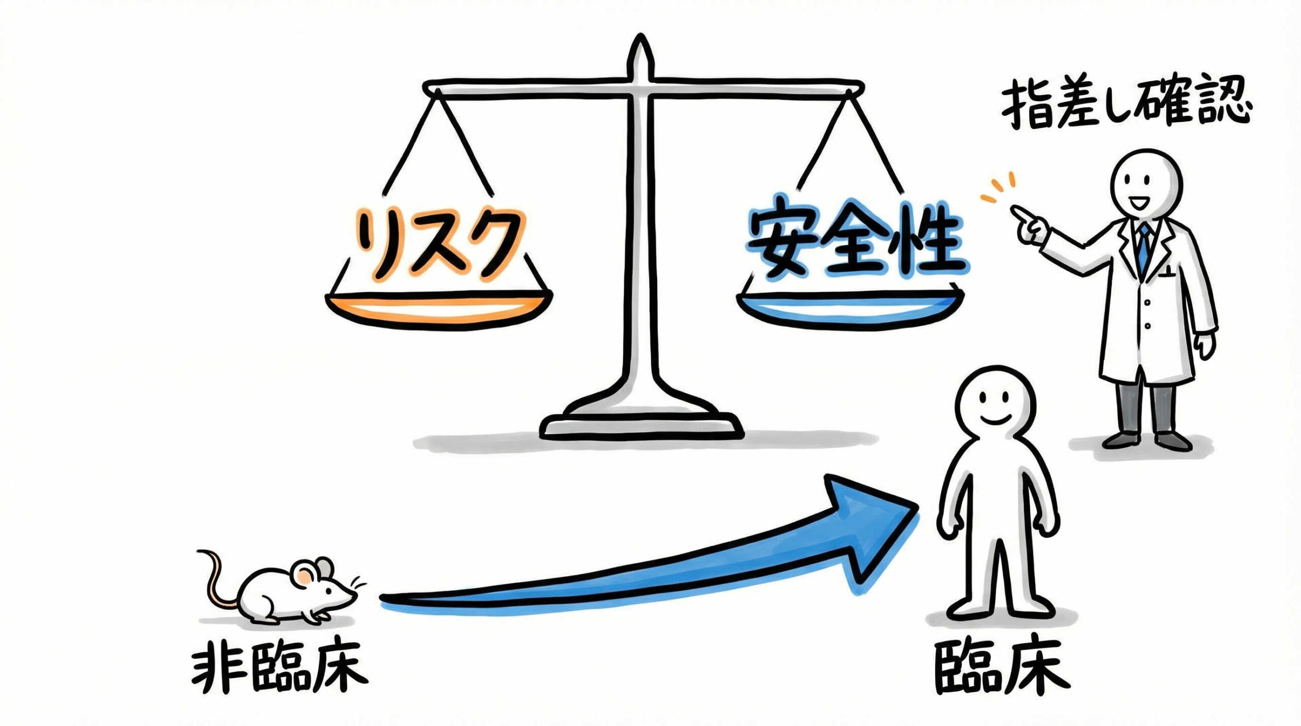非臨床試験および臨床試験(治験)における安全性評価のポイント